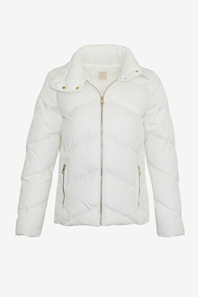 WCollection5