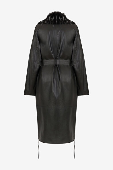 WCollection6
