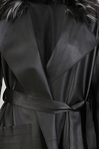 WCollection7