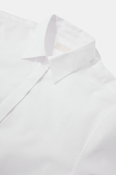 WCollection6