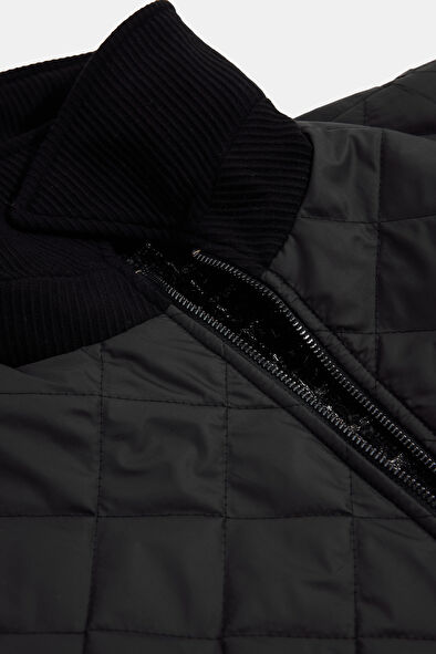 WCollection11
