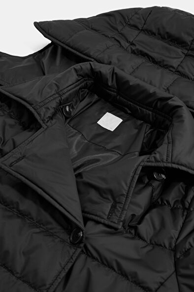 WCollection6