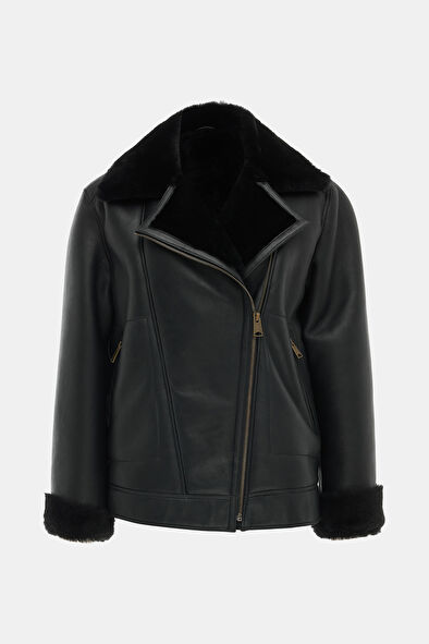 WCollection5