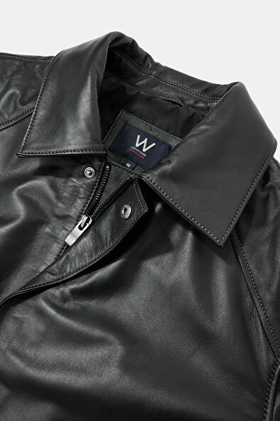 WCollection3 WCollection3