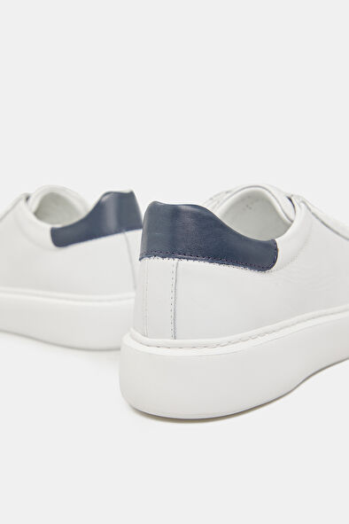 WCollection5