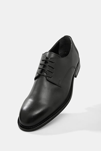 WCollection6