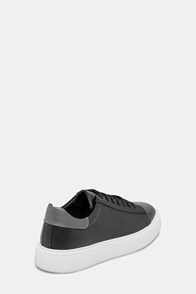 WCollection3 WCollection3