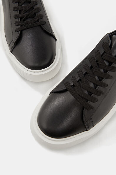 WCollection4 WCollection4