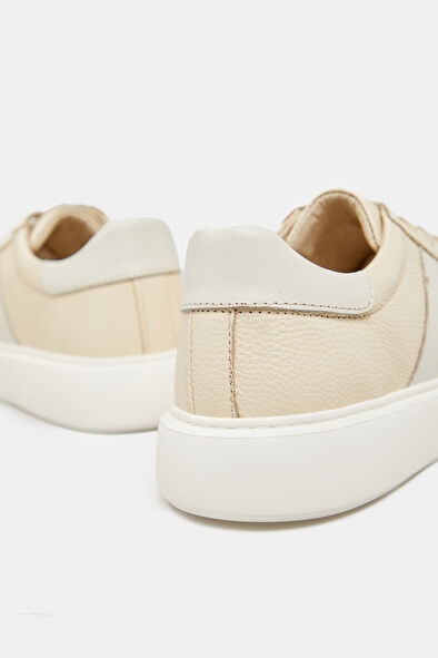 WCollection5