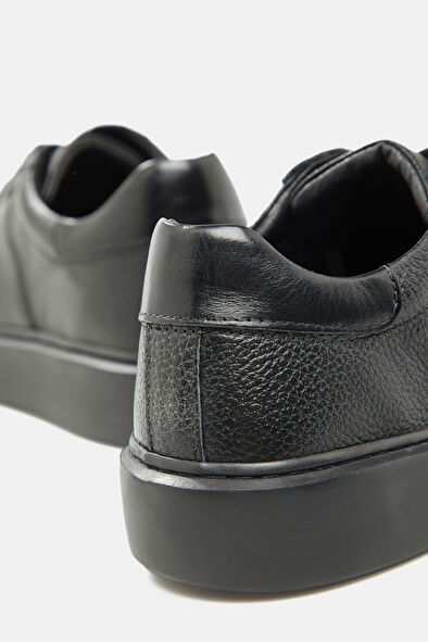 WCollection5 WCollection5