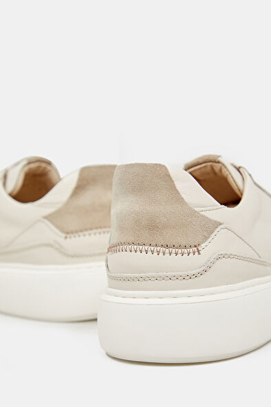WCollection5