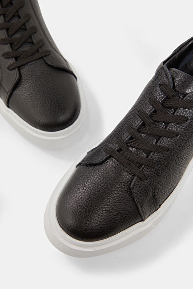 WCollection4 WCollection4