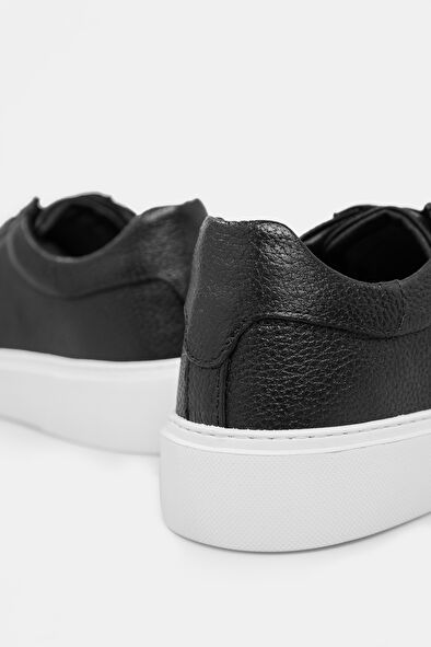 WCollection5 WCollection5