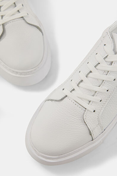 WCollection4 WCollection4