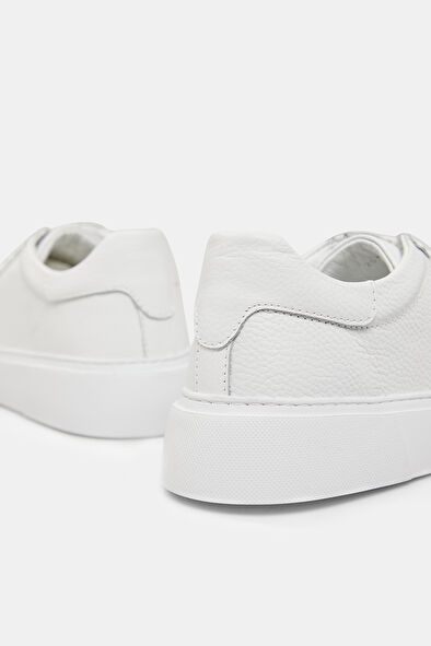 WCollection5 WCollection5