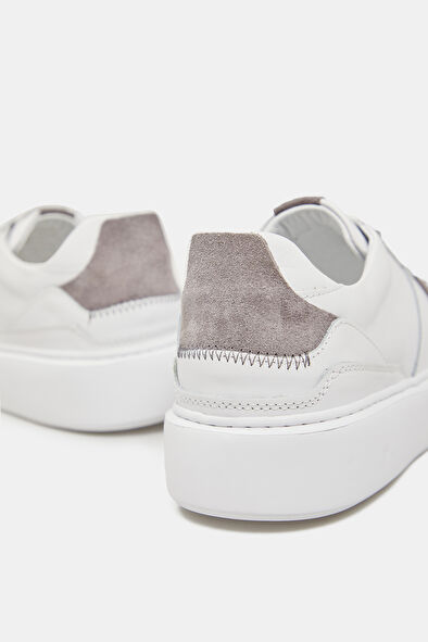 WCollection5 WCollection5