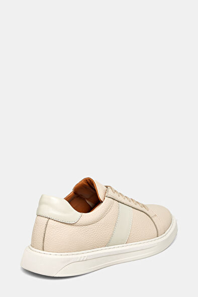 WCollection4 WCollection4