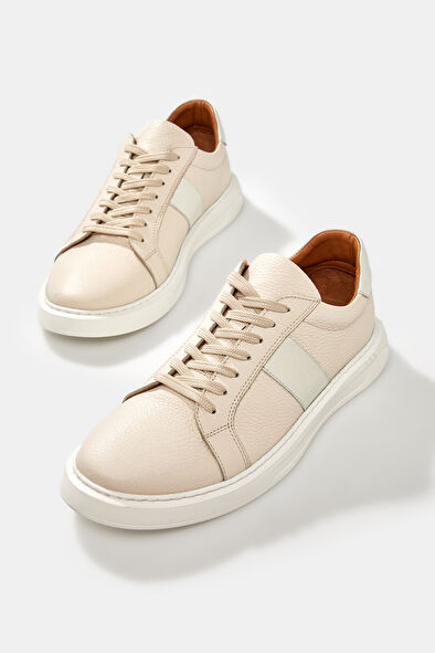 WCollection6 WCollection6