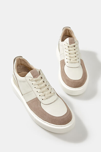 WCollection6