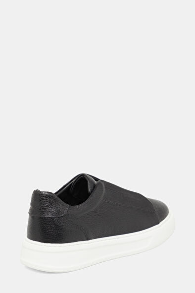 WCollection3 WCollection3