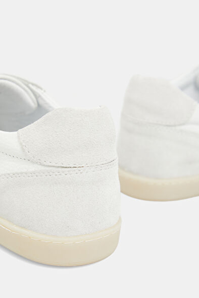 WCollection6 WCollection6