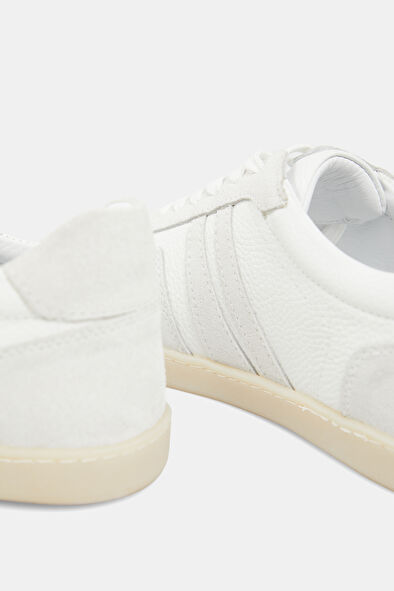 WCollection7 WCollection7