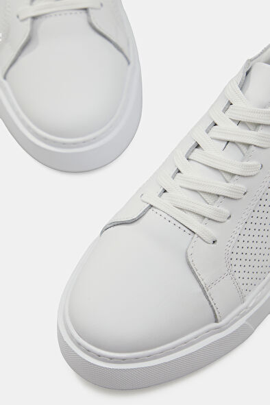 WCollection4 WCollection4