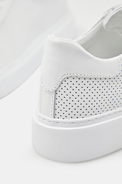 WCollection5 WCollection5