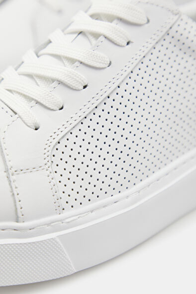 WCollection6 WCollection6