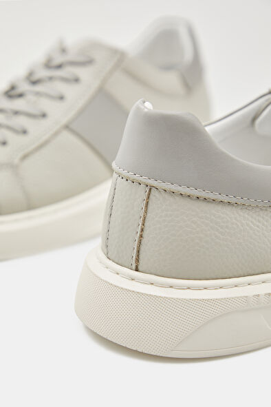 WCollection8 WCollection8