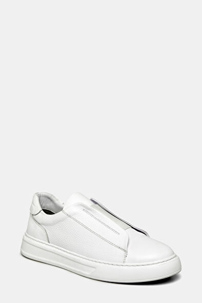 WCollection3 WCollection3