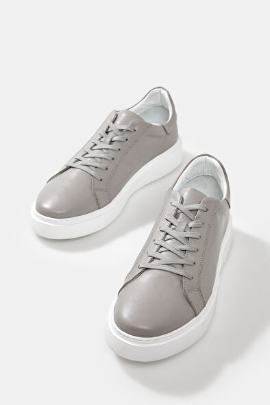 WCollection6