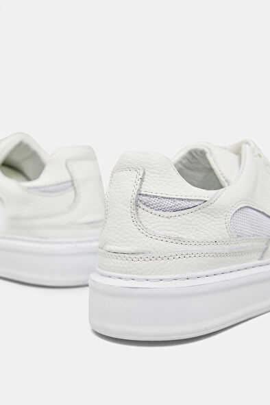 WCollection5 WCollection5