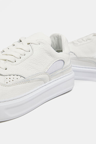 WCollection6 WCollection6