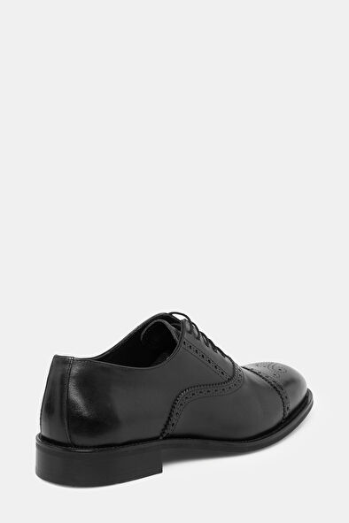 WCollection4 WCollection4