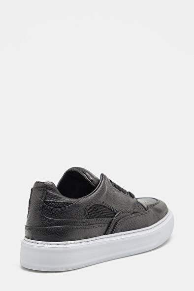 WCollection3 WCollection3