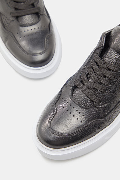 WCollection4 WCollection4