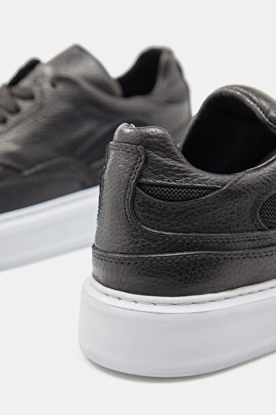 WCollection5 WCollection5