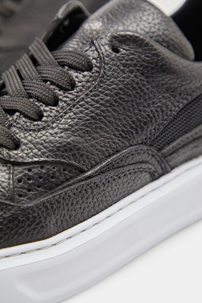 WCollection6 WCollection6