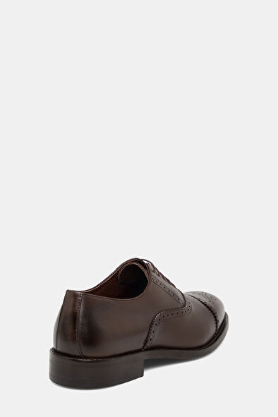 WCollection4 WCollection4