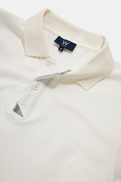 WCollection3 WCollection3