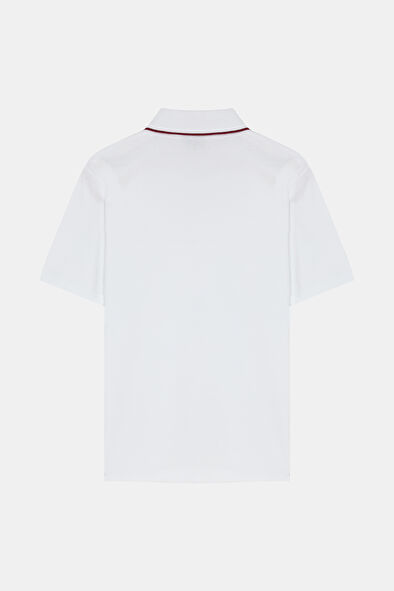 WCollection6 WCollection6