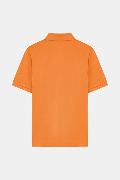 WCollection4 WCollection4