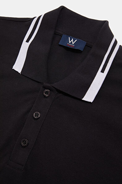 WCollection3 WCollection3