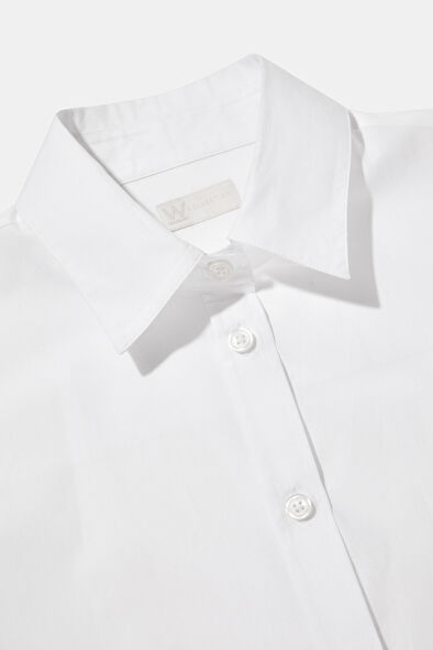 WCollection8