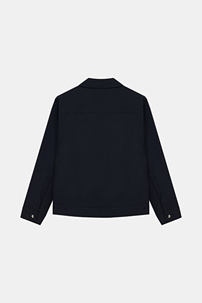 WCollection8