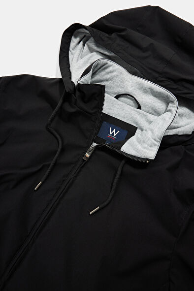 WCollection8