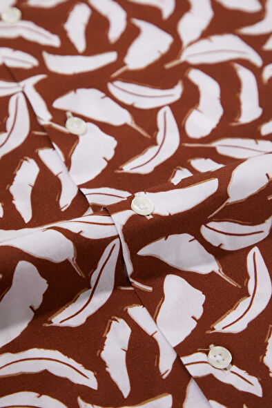 WCollection4 WCollection4