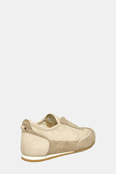 WCollection4 WCollection4