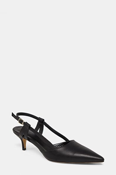 WCollection3 WCollection3